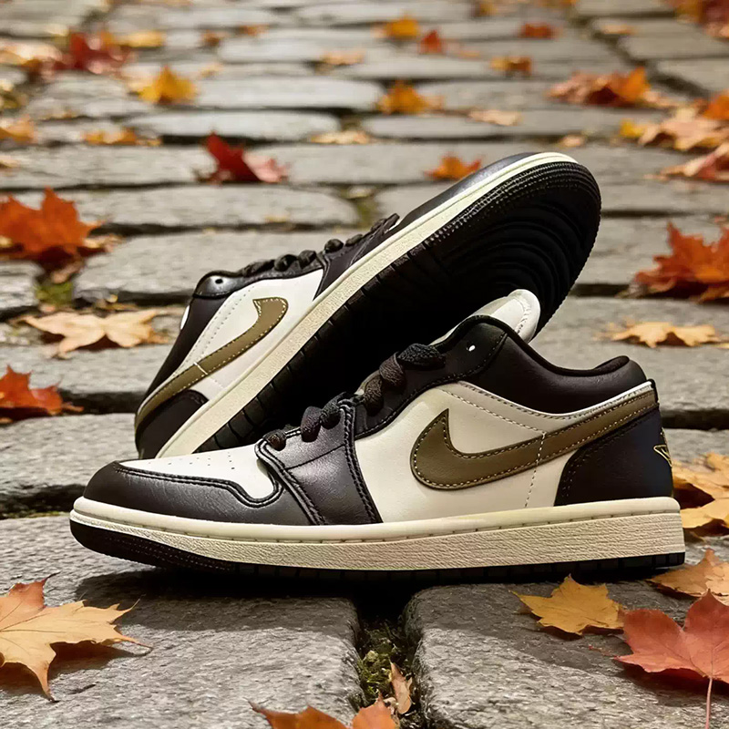 Nike Jordan Air Jordan1 Low We – Women'S Shoes Nike Jordan Bewertung und Preis